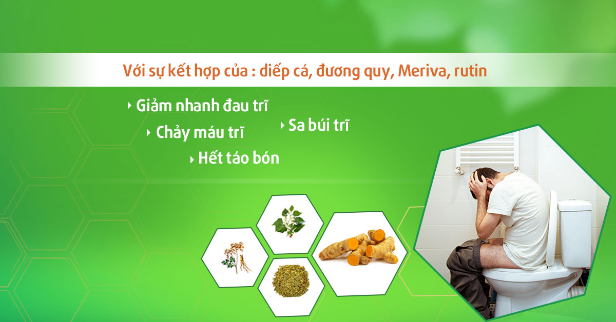 Banner giới thiệu thảo dược diếp cá, đương quy, Meriva, rutin giúp giảm đau trĩ, chảy máu trĩ, sa búi trĩ
